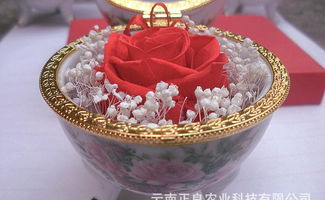 云南菲雅保鮮花 手工工藝品 紀念品 收藏品直銷價格 廠家 圖片